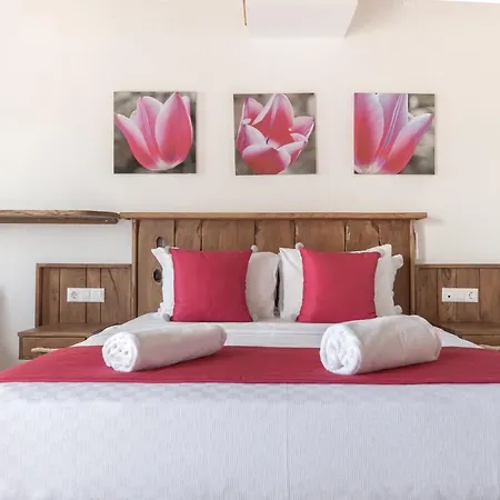 Yenice Vadi Natural Life Village Otel *
